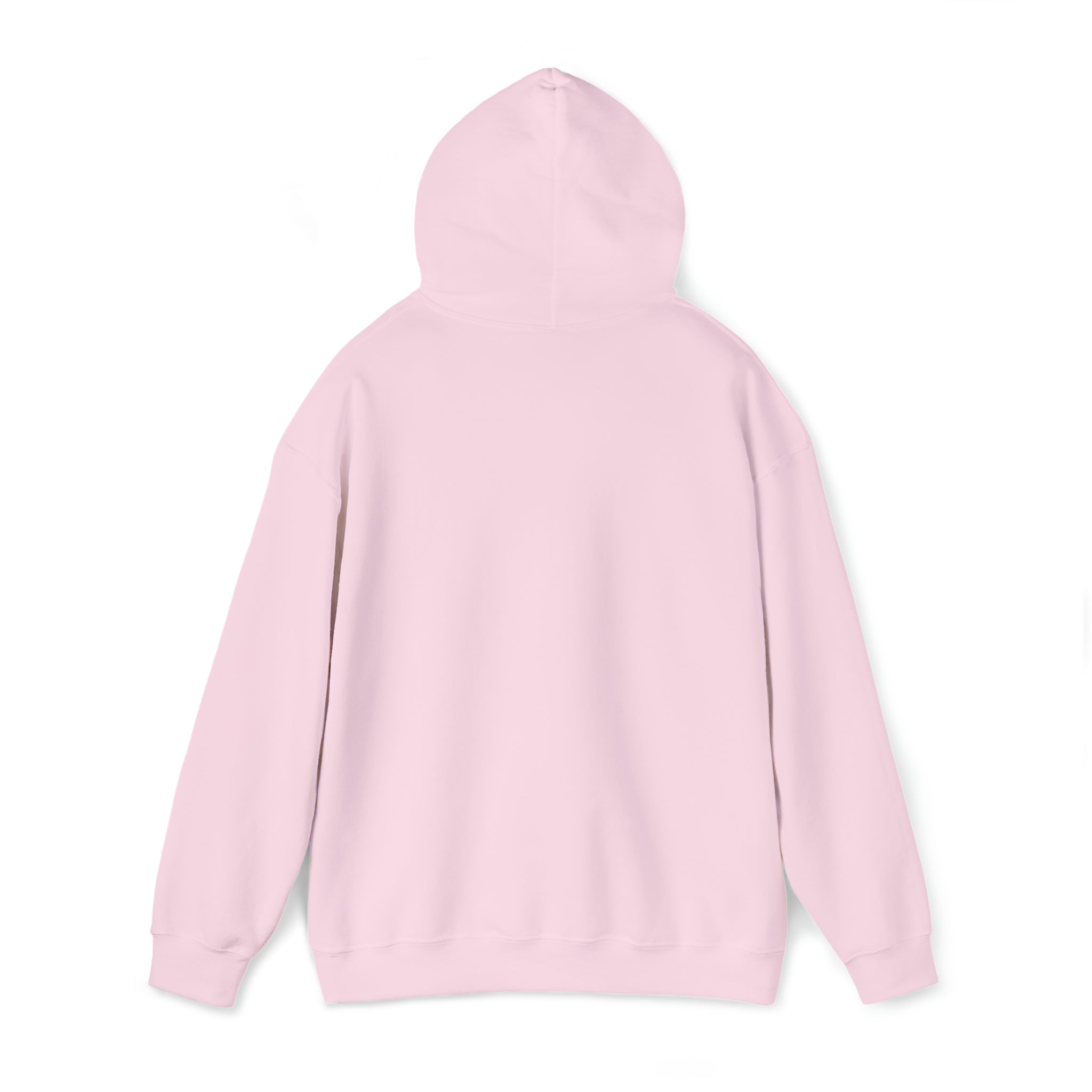 Get in loser Hoodie